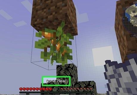 �ҵ����緢�⽬����ô��2026