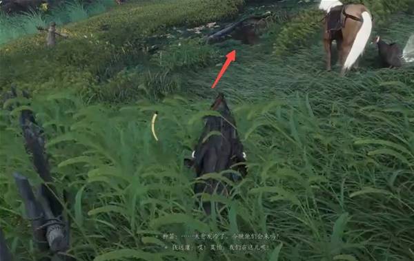 ����ʮ���������ص�������