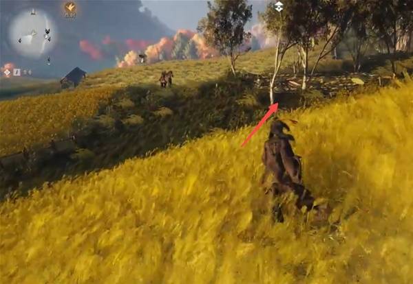 ����ʮ���������ص�������