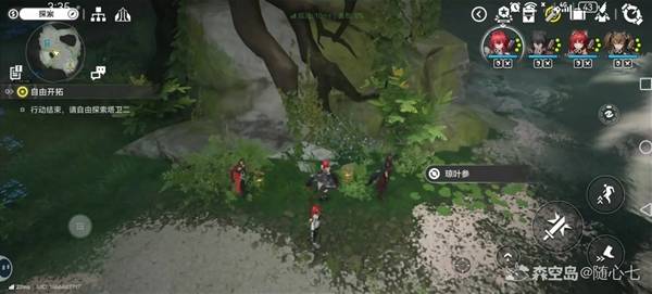 ���շ�����ĩ����Ҷ�����Ĳɼ�