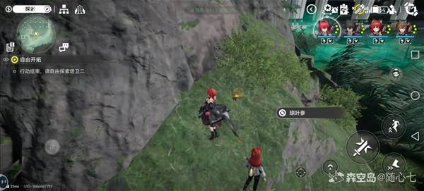 ���շ�����ĩ����Ҷ�����Ĳɼ�