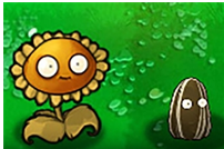 ֲ���ս��ʬ�ӽ��������տ�������ô��