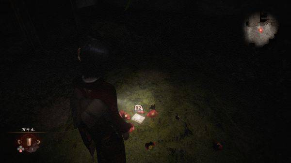 �������ư�������֧��������ô��