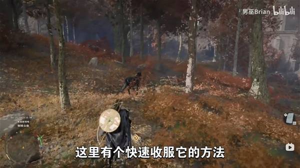 ��ɫɳĮ��˵������ô���_��ɫɳĮ��˵������ȡ����