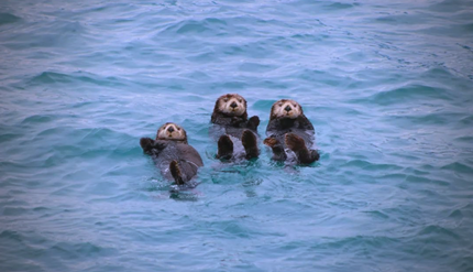 Ϊ˷ֹ˯ʱˮߺ̡ȡְ취