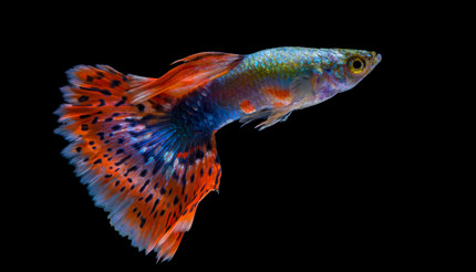 ͨ����˵����ȸ�������ȴ��㣿