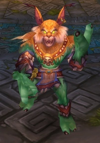 wow��è��֮��ǰϦ5H�����氢�������򷨹���