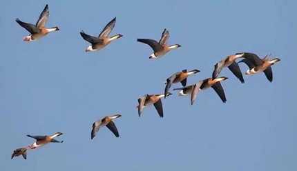 �����Ϸ�ʱ�ųɡ��ˡ����λ�һ�����Σ���Ϊ��