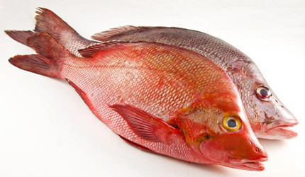 �������㡱��������������׳ƣ�