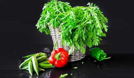 ����Ҷ�߲���Ԥ��ƶѪ����ļٵ�