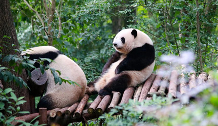 С�����������㣺����èץȡ���ӵġ���Ĵָ����ʵ��