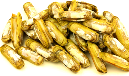 ����֮���Ե���������Ϊ���ϣ�