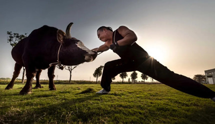 ����ţ�����ҹ��ĸ�����Ĵ�ͳ�����