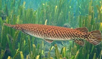 ���������������������ͬʱ������