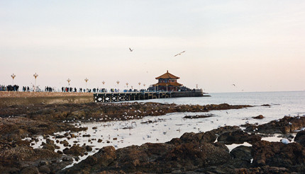 ���Ķ���ʦ�봫ͳ��Ӱʦ������������