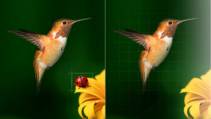 ȥ����Ƭ�ڵ�������app����Ƽ�