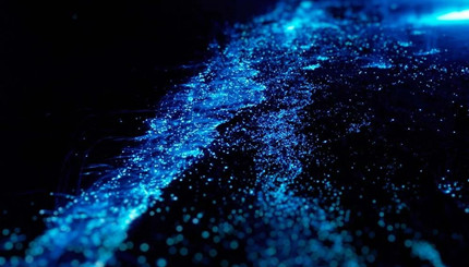 �����е�ҹ������һ�֣�