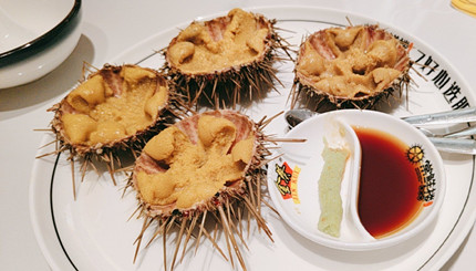 ����������һ�ຣ���