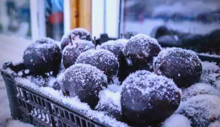 ������ɫ��Ʒ�����桱��ôʳ�ø�����