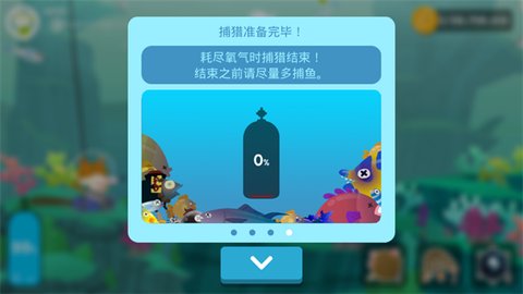 ��ץ���è���޽��