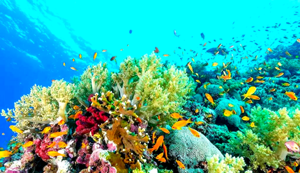 �������˶�ɺ������ֱ�ӵ�Ӱ���ǵ���