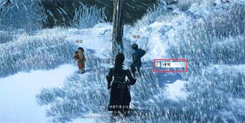 ����ʮ����ѩ��ڣ����֪��ô���