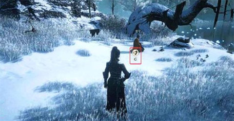 ����ʮ����ѩ��ڣ����֪��ô���