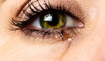 ���������ų����أ���ļٵ�