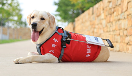 ������һ�����ڡ�����Ȯѱ��ʦ����ѵ����Ȯ�ַ���