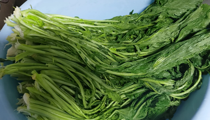 ��������ѩ��ޮʱ������ͨ��Ҫѹ�������ҪĿ����