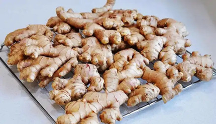 �׻�˵�������ϵ��������Ͻ���ı��½�������