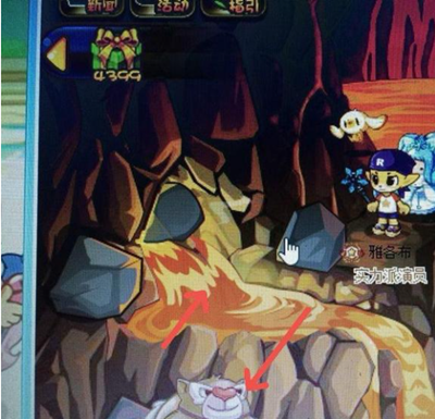 �������ά����������ôȥ2026