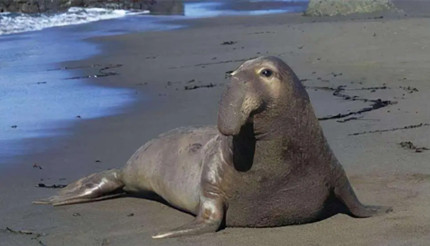 ���ֺ����鶯�����ͷ����˯����