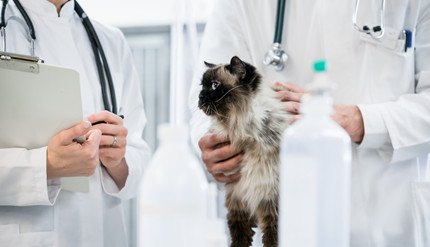 ��ҽ�ڸ����࿴��ʱ��������ͨ�������ĸ���λ