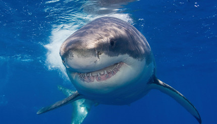 ������Ҫ���ú�ˮ������ˮ����