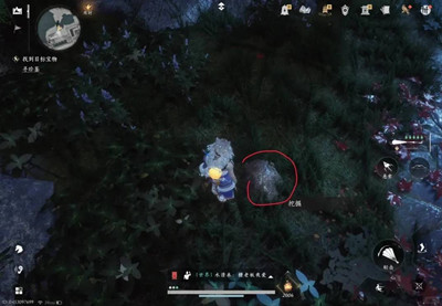 ����ʮ����̤��Ѱ�䳤�ϱ�������