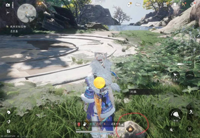 ����ʮ����̤��Ѱ�䳤�ϱ�������