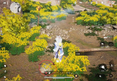 ����ʮ����̤��Ѱ�䳤�ϱ�������