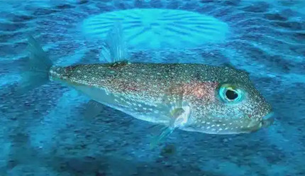 ���ֺ�������Ὠ�쾫���ļ���ͼ�γ�Ѩ����ż��