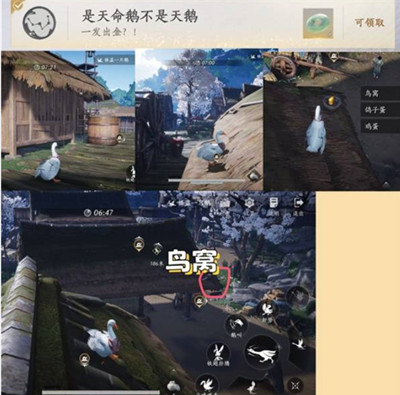 ����ʮ�����ֵ�һֻ�����سɾ���ô���