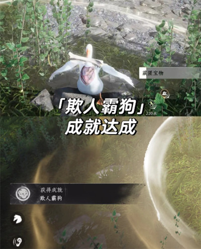 ����ʮ�����ֵ�һֻ�����سɾ���ô���