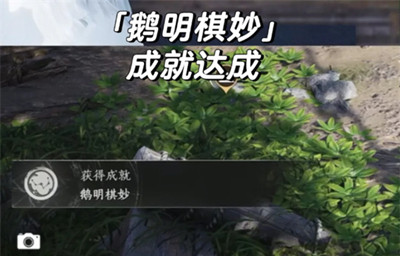 ����ʮ�����ֵ�һֻ�����سɾ���ô���