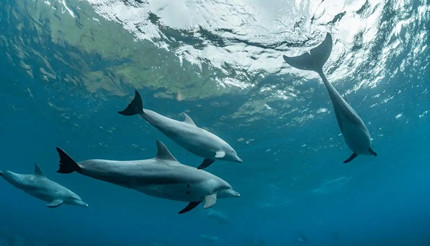 �����㣺������������岿�ֽ�����