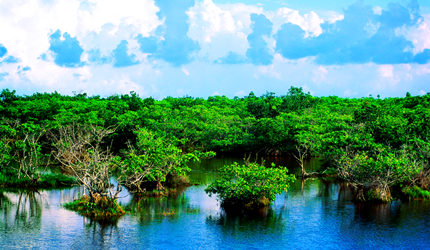 ������һ���Ǻ����ֵ���̬���ܣ�