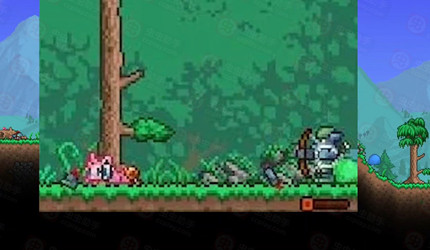 ̩��������³������ô���