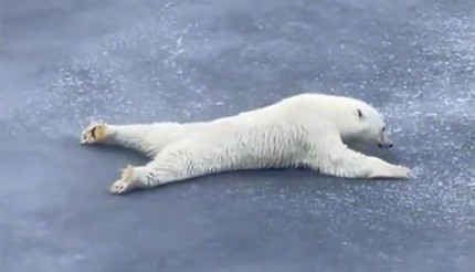 �ڱ�������ʱ�������ֱ��濪ʼ�����ѷ죬���������Σ��