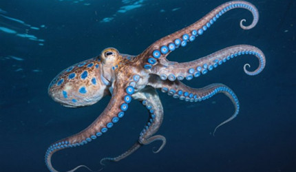 �������ֺ�����ʹ�ö�Һ��ʳ��