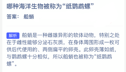 ���ֺ������ﱻ��Ϊ��ֽ�����ݡ�