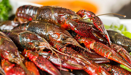 ��Ϻ���������ͨ��ʲô���������