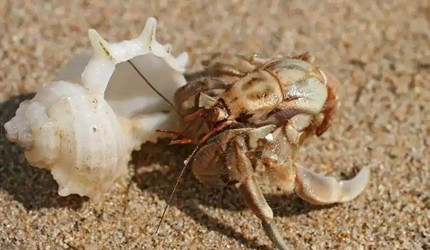 �ľ�з�ĸ������ǶԳƵ���